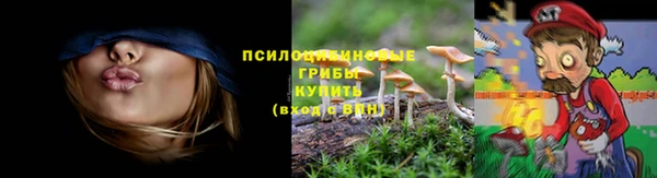 тгк Алзамай